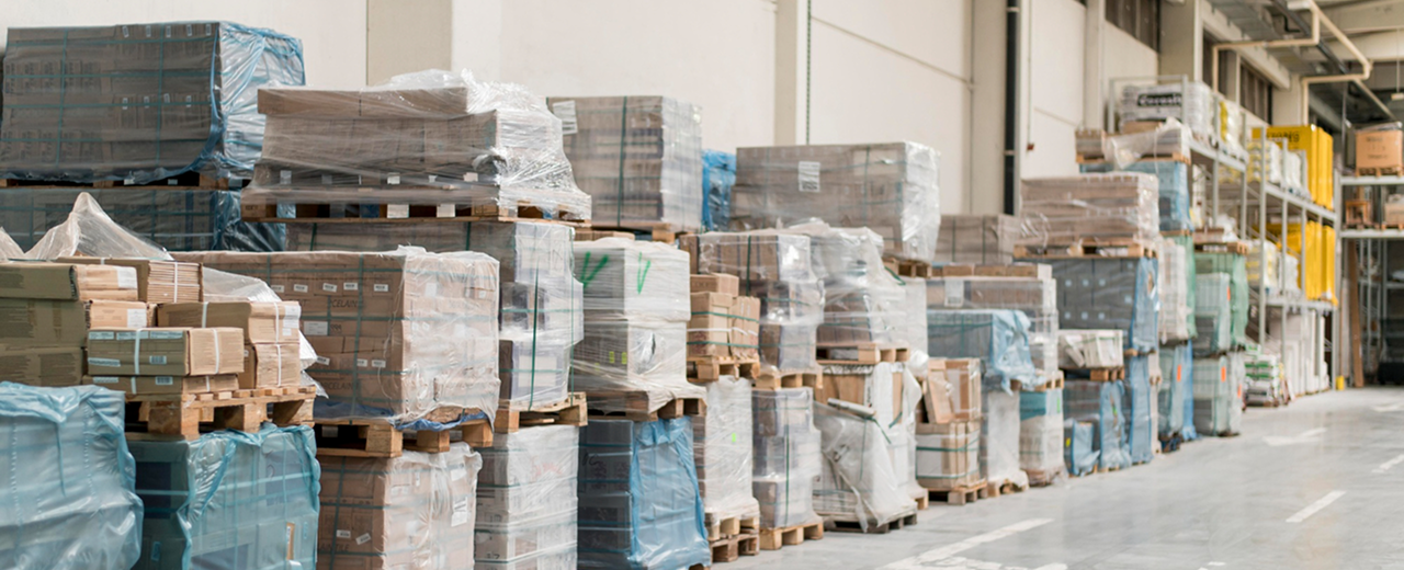 Encabezado Inicio - Mercancia Paletizada